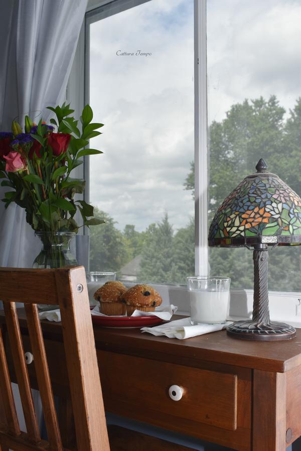 Winridge Manor Bed And Breakfast Madison Heights Екстер'єр фото